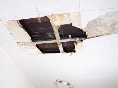About Brazoria Black Mold Removal - black mold removal experts in Brazoria